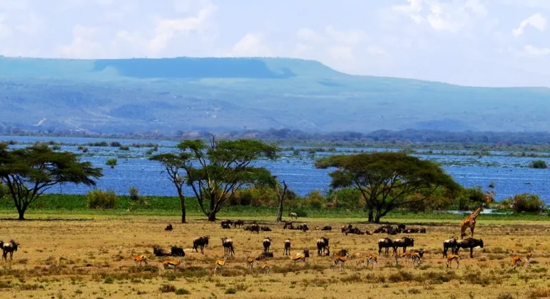 Lake Naivasha in Kenya
